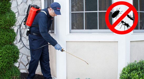 Çatalzeytin Hamam Böceği İlaçlama böcek ilaçlama ve haşere kontrolü — ilaclama-tr.com